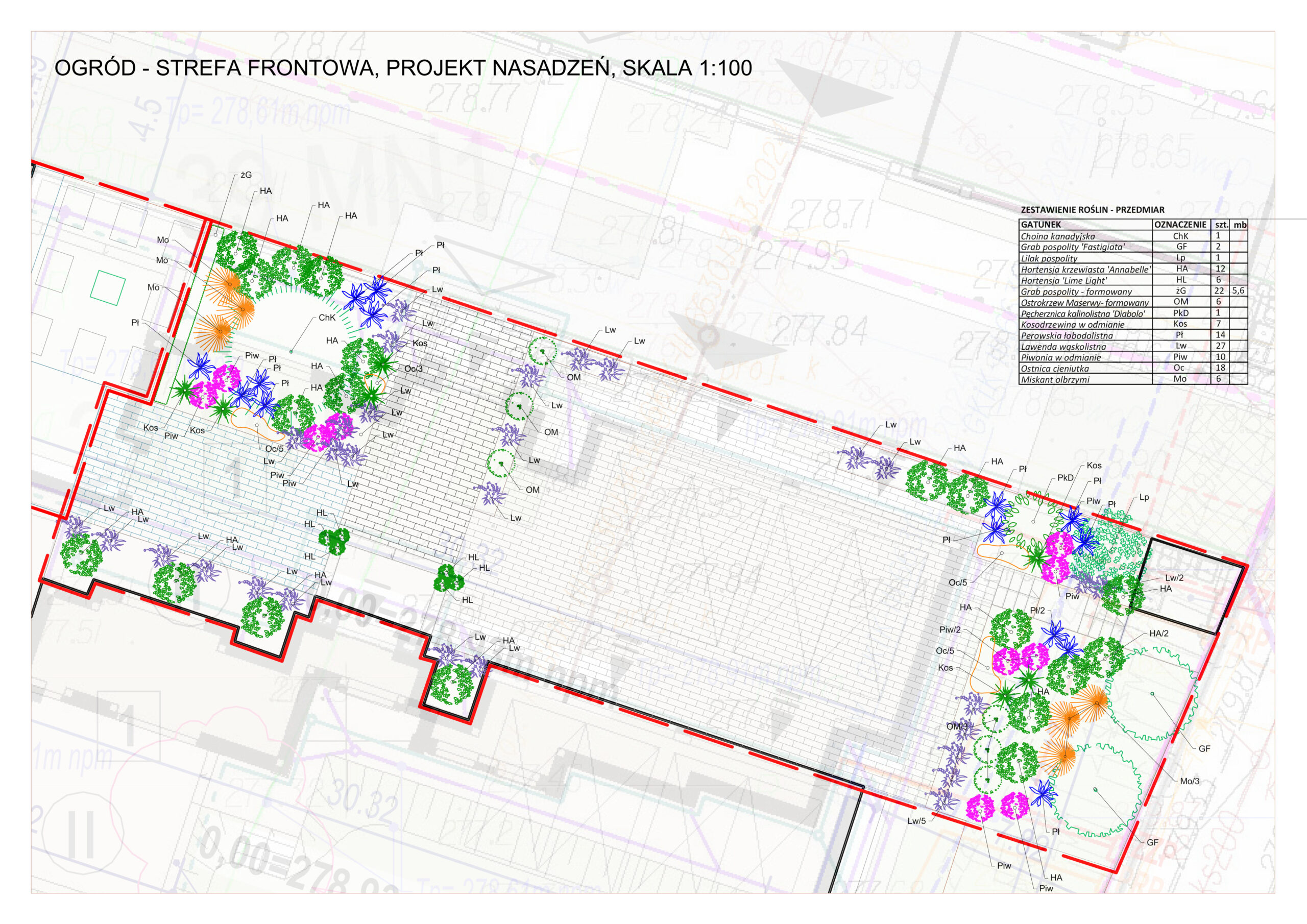 Projekt nasadzeń ogrodu, strefa frontowa w skali 1:100, rzut z góry z oznaczeniami roślin i tabelą gatunków